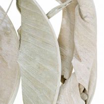 Strelitzian lehdet pesty valkoiseksi kuivattu 45-80cm 10p