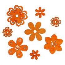 Hajonnut puukukka oranssi 2cm - 4cm 96p