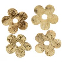 kohteita Scatter koristelu puun kuori kukkia koivu vintage Ø5cm 36 kpl