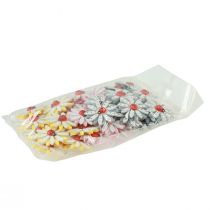 kohteita Scatter koriste leppäkerttu kukka puu huopa väri Ø4cm 48 kpl