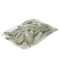 kohteita Strobus-kartiot koristeena omenanvihreä valkoinen pesty 15-20cm 50 kpl