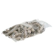 kohteita Strobus kartiot 15cm - 20cm valkoiset pesty 50 kpl