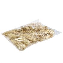 kohteita Strobus valkaistu 15cm-20cm 50 kpl