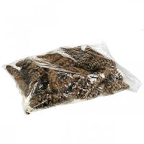 kohteita Käpyjä Valkoinen mänty Strobus Natural Mixed 2,5kg