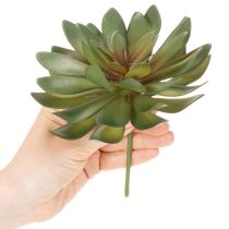 kohteita Keinotekoinen mehikasvi koristekasvina, vihreä, 18 cm, 3 kpl