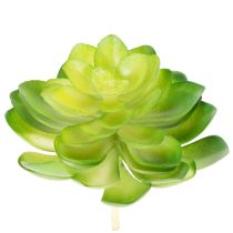 kohteita Keinotekoinen mehikasvi, vihreä, koristeeksi kulhoon tai maljakkoon, 10 cm, 4 kpl