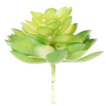 kohteita Keinotekoinen mehikasvi, vihreä, koristeeksi kulhoon tai maljakkoon, 10 cm, 4 kpl