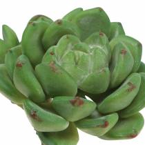 kohteita Mehevä Echeveria keinovihreä H15cm