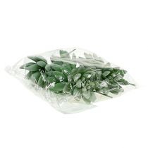 kohteita Mehevä Echeveria Ø6,5cm L11cm 6 kpl