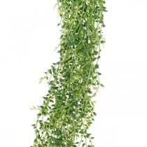 Sukkulentti roikkuu keinotekoinen roikkuva kasvi vihreä 96cm