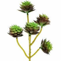 Mehevä poiminta vihreä / ruskea 35,5 cm