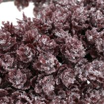 Mäntykartioseppele Ø25cm Burgundy jäätä