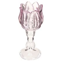 kohteita Kynttilän lasi tulppaani kynttilänpidike lasi violetti Ø7cm K16cm 2kpl