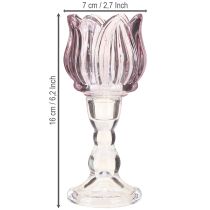 kohteita Kynttilän lasi tulppaani kynttilänpidike lasi violetti Ø7cm K16cm 2kpl