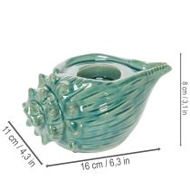 kohteita Tuikkukynttiläkuppi simpukankuori koristeellinen pöytäkynttilä kylpyhuone olohuone 16cm