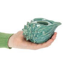 kohteita Tuikkukynttiläkuppi simpukankuori koristeellinen pöytäkynttilä kylpyhuone olohuone 16cm