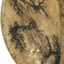 kohteita Deco Plate Wood Luonnollinen, Kultainen Crackle Effect Mangopuu Ø30