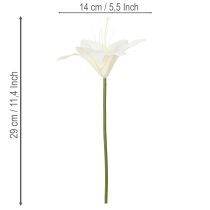 kohteita Keinotekoisia valkoisia tiikerililjoja maljakoihin ja asetelmiin, 29 cm 6 kpl:n kimppu