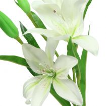 Lilja valkoinen 58cm