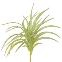kohteita Tillandsia Green Keinotekoiset kasvit kepillä Ø17cm 3 kpl
