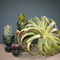 Tillandsia keinotekoinen kiinni vaaleanvihreä keinokasvi 30cm