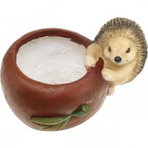 kohteita Istutuskone, omena ja siili, syksykoristeet, kätköruukku, keraaminen Ø16cm K22cm L33cm
