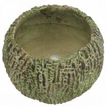 kohteita Betoninen istutusruukku, antiikkityylinen, vihreä ja ruskea, pyöreä ruukku, Ø15,5 cm