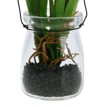 kohteita Rypälehyasintti tekovaaleanpunainen lasissa 16cm