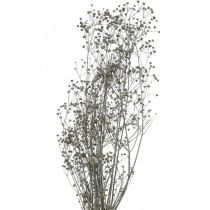 Kuivatut kukka Massasa valkoiset deco-oksat 50-55cm nippu 6kpl