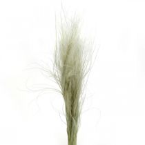 Kuivatut kukat Feather Grass Stipa Pennata Dry Grass Nature 50g