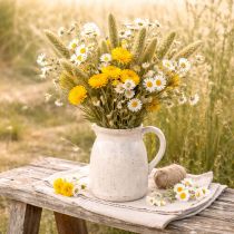 kohteita Kuivattuja akrokliniumkukkia, valkoiset kukat, kuivattu kukka-asetelma, 60 cm, 80 g