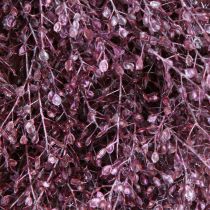 kohteita Koristeellinen seppele, kuivattuja kukkia, metallinvioletti Lepidium, seinäseppele, Ø33cm, kodinsisustusidea