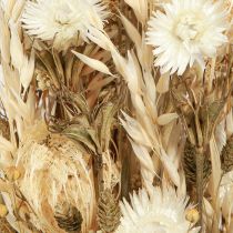 kohteita Kuivatut kukat valkokulta korkkikukat Phalaris 30cm 200g
