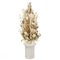kohteita Kuivatut kukat valkokulta korkkikukat Phalaris 30cm 200g