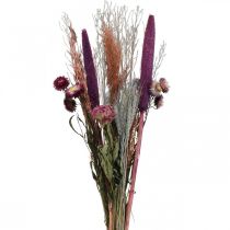 kohteita Kuivatut kukat Kimppu vaaleanpunaisia niittykukkia ja viljoja 70-75cm