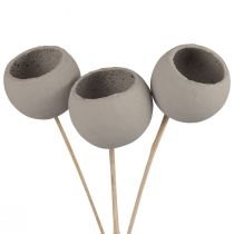 Kuivakukkia koristeelliset kellokupit varressa harmaa 37cm 3kpl