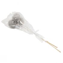 kohteita Kuivakukkia koristeelliset kellokupit varressa harmaa 37cm 3 kpl