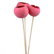 kohteita Kuivakukkia koristeelliset kellokupit varressa vaaleanpunainen 42cm 3 kpl