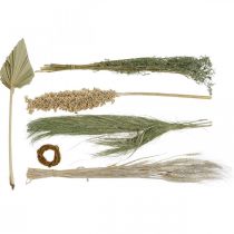 Kuivatut kukat Exotics White-Nature Mix, kuivakukkasekoitus, kuivakukkasekoitus