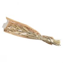 kohteita Kuivattuja kukkia, hirssikoristeita, Setaria (ketunhirssi), 60g