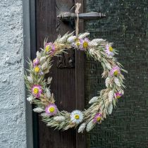 Kuivatut kukkasormus Vaaleanpunainen Sormus Kuivatut kukkasilmukat Tee itse -laatikko Ø20cm