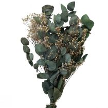 Kuivatut kukkakimppu eucalyptus gypsophila säilötty 50cm vihreä