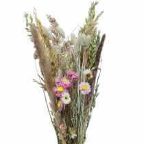 Kimppu kuivattuja kukkia ruoho Phalaris olkikukkia vaaleanpunainen 60cm 110g