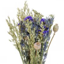 Kimppu kuivattuja kukkia Kimppu niittykukkia sininen H50cm 100g