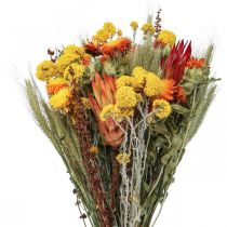 Kimppu kuivattuja kukkia Kimppu niittykukkia Oranssi K50cm 300g