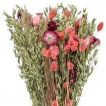 Kimppu kuivattuja kukkia olkikukkia viljaunikon kapseli Phalaris sara 55cm