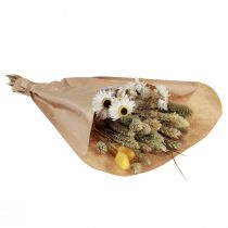 kohteita Kuivatut kukkakimppu olkikukat Phalaris valkoinen keltainen 30cm