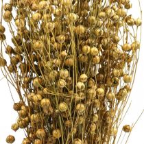 kohteita Kuivattu ruoho Kuivattu pellava oliivinvihreä H50-55cm 80g