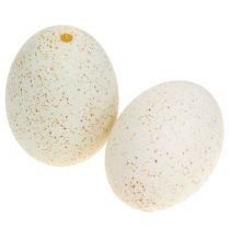 Kalkkunanmunat luonnolliset 6,5cm 10kpl