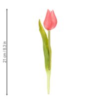 kohteita Korkealaatuinen tulppaaninkukka, elävän näköinen kopio pöytämaljakoihin, 21 cm, 6 kpl